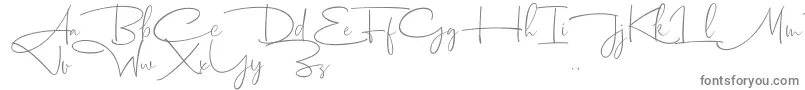 Dhanikans Signature 2 dafont-Schriftart – Graue Schriften auf weißem Hintergrund