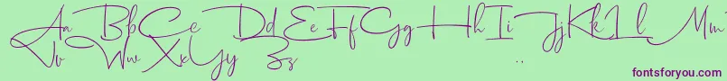 Dhanikans Signature 2 dafont Font – Purple Fonts on Green Background