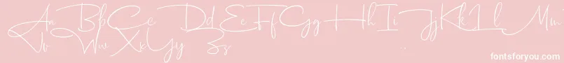 Dhanikans Signature 2 dafont-Schriftart – Weiße Schriften auf rosa Hintergrund