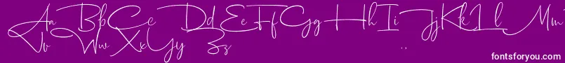 Dhanikans Signature 2 dafont Font – White Fonts on Purple Background