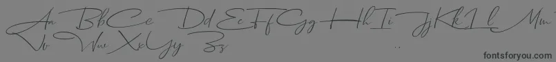 Czcionka Dhanikans Signature Italic dafont – czarne czcionki na szarym tle