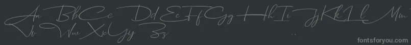 Dhanikans Signature Italic dafont-fontti – harmaat kirjasimet mustalla taustalla