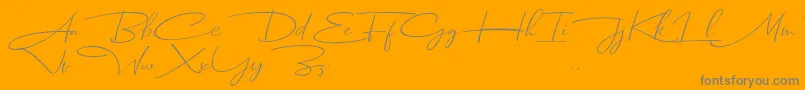 Dhanikans Signature Italic dafont Font – Gray Fonts on Orange Background