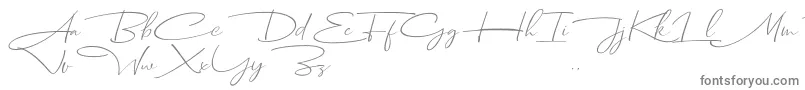 Fonte Dhanikans Signature Italic dafont – fontes cinzas em um fundo branco