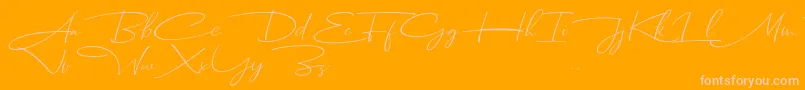 Dhanikans Signature Italic dafont-Schriftart – Rosa Schriften auf orangefarbenem Hintergrund