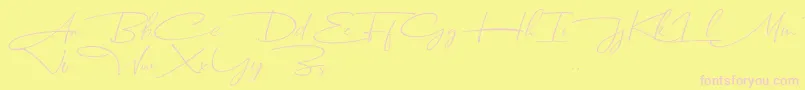 Dhanikans Signature Italic dafont-Schriftart – Rosa Schriften auf gelbem Hintergrund