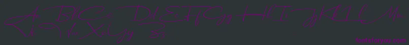 Dhanikans Signature Italic dafont Font – Purple Fonts on Black Background