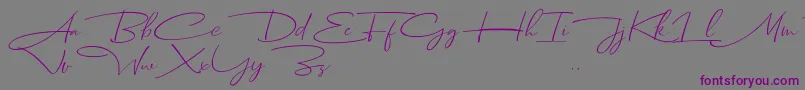 Czcionka Dhanikans Signature Italic dafont – fioletowe czcionki na szarym tle