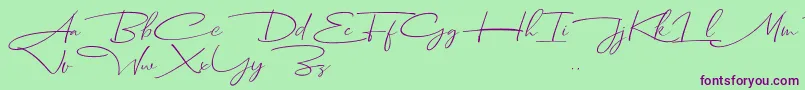 Dhanikans Signature Italic dafont Font – Purple Fonts on Green Background