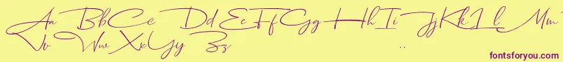 Dhanikans Signature Italic dafont Font – Purple Fonts on Yellow Background