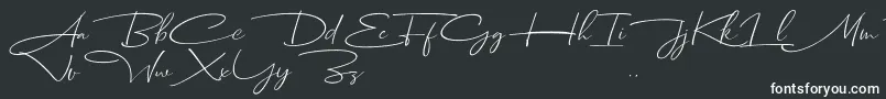 Шрифт Dhanikans Signature Italic dafont – белые шрифты
