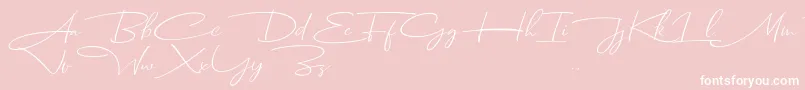 Dhanikans Signature Italic dafont-Schriftart – Weiße Schriften auf rosa Hintergrund