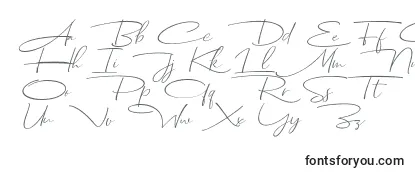 Czcionka Dhanikans Signature Italic dafont