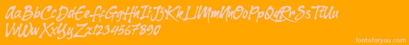 Dharko Gilbert Font – Pink Fonts on Orange Background
