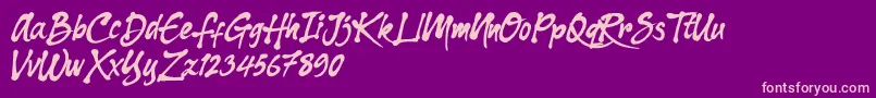 Dharko Gilbert Font – Pink Fonts on Purple Background