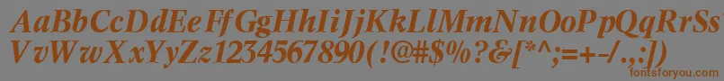 フォントInformaticssskBoldItalic – 茶色の文字が灰色の背景にあります。