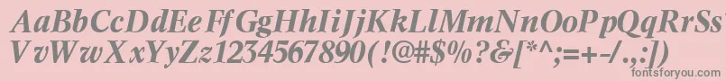フォントInformaticssskBoldItalic – ピンクの背景に灰色の文字