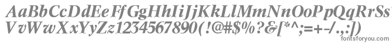 InformaticssskBoldItalic Font – Gray Fonts on White Background
