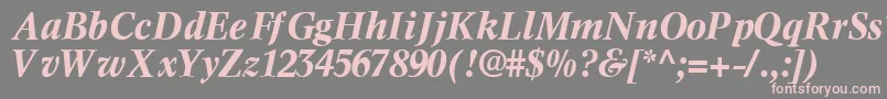 InformaticssskBoldItalic-Schriftart – Rosa Schriften auf grauem Hintergrund