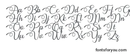 フォントDhitha Font by 7NTypes