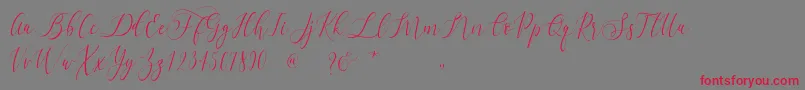 Dialova   Font – Red Fonts on Gray Background