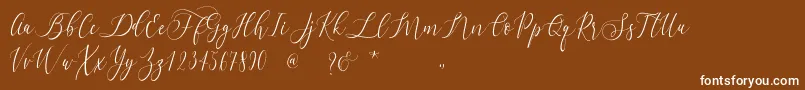 フォントDialova   – 茶色の背景に白い文字