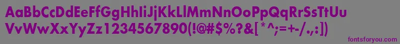 Шрифт BelmarcndBold – фиолетовые шрифты на сером фоне