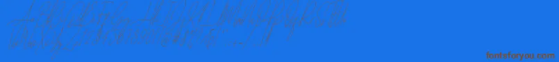 Diamante Signature Italic  -fontti – ruskeat fontit sinisellä taustalla
