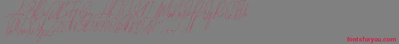 Diamante Signature Italic  -Schriftart – Rote Schriften auf grauem Hintergrund