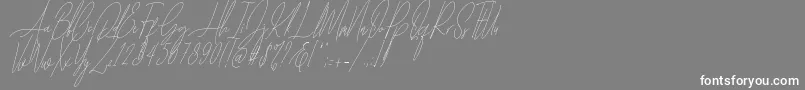 Czcionka Diamante Signature Italic   – białe czcionki na szarym tle