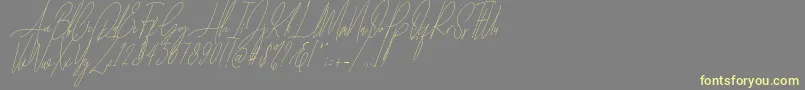 Шрифт Diamante Signature Italic   – жёлтые шрифты на сером фоне