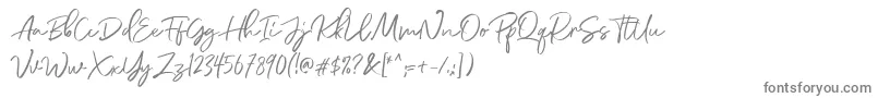 フォントDianaWebber Script DEMO – 白い背景に灰色の文字