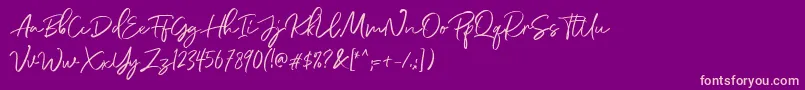 DianaWebber Script DEMO Font – Pink Fonts on Purple Background