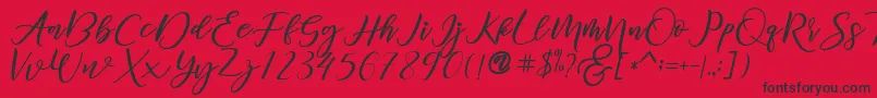 diary Amily demo Font – Black Fonts on Red Background