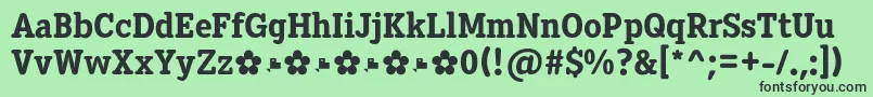 Diezma ExtraBold Font – Black Fonts on Green Background