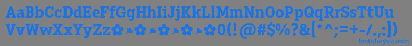 Diezma ExtraBold Font – Blue Fonts on Gray Background