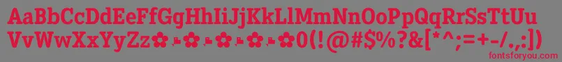 Diezma ExtraBold Font – Red Fonts on Gray Background