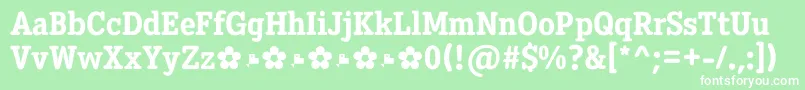 Diezma ExtraBold Font – White Fonts on Green Background