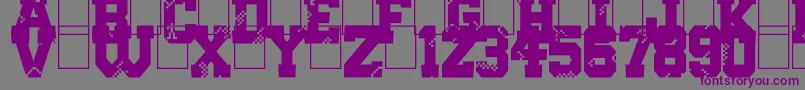 フォントDigital College – 紫色のフォント、灰色の背景