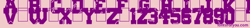 Digital College-fontti – violetit fontit vaaleanpunaisella taustalla