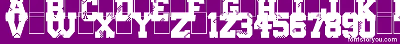 Digital College-fontti – valkoiset fontit violetilla taustalla