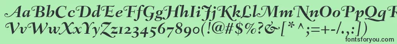 FairfieldLh76SwashBoldItalicOldStyleFigures Font – Black Fonts on Green Background