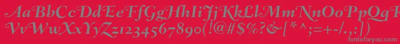 FairfieldLh76SwashBoldItalicOldStyleFigures-fontti – harmaat kirjasimet punaisella taustalla
