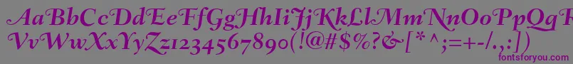 FairfieldLh76SwashBoldItalicOldStyleFigures Font – Purple Fonts on Gray Background