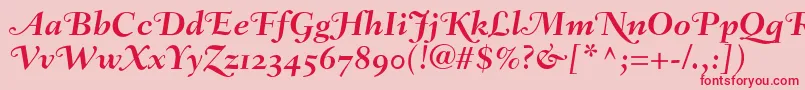 FairfieldLh76SwashBoldItalicOldStyleFigures Font – Red Fonts on Pink Background