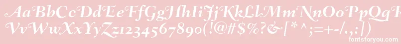 FairfieldLh76SwashBoldItalicOldStyleFigures Font – White Fonts on Pink Background