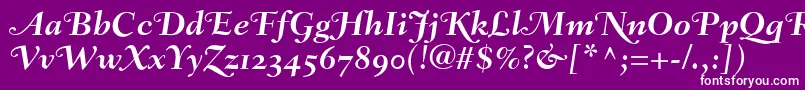 FairfieldLh76SwashBoldItalicOldStyleFigures Font – White Fonts on Purple Background