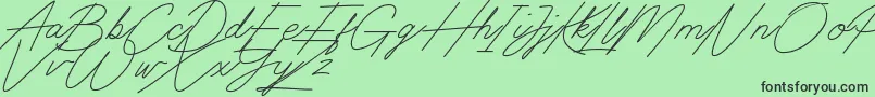 Fonte Digital Signature – fontes pretas em um fundo verde