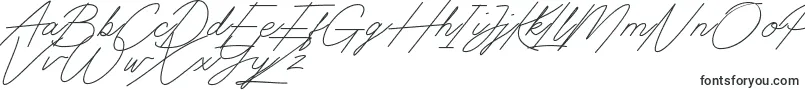 フォントDigital Signature – Google Chromeのフォント