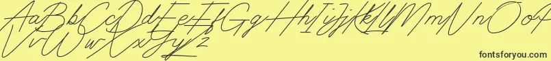 Digital Signature Font – Black Fonts on Yellow Background